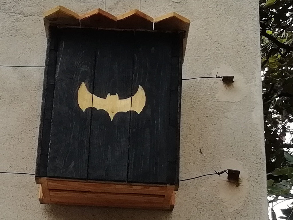 "Bat cave", l'hôtel à chauve souris !