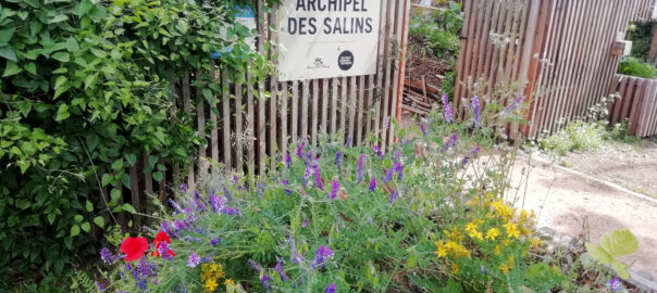 Entrée de l'Archipel des Salins en fleurs.