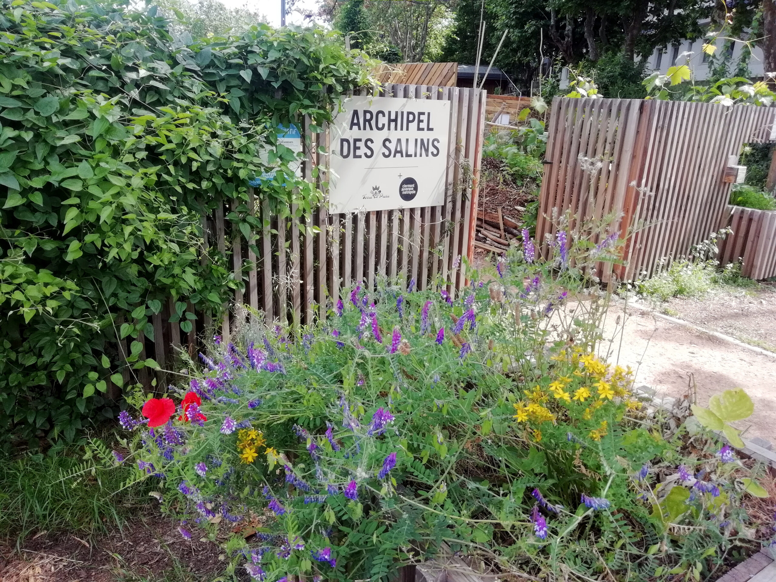 Entrée de l'Archipel des Salins en fleurs.