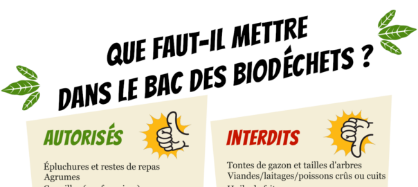 Que faut-il mettre dans le bac des biodéchets