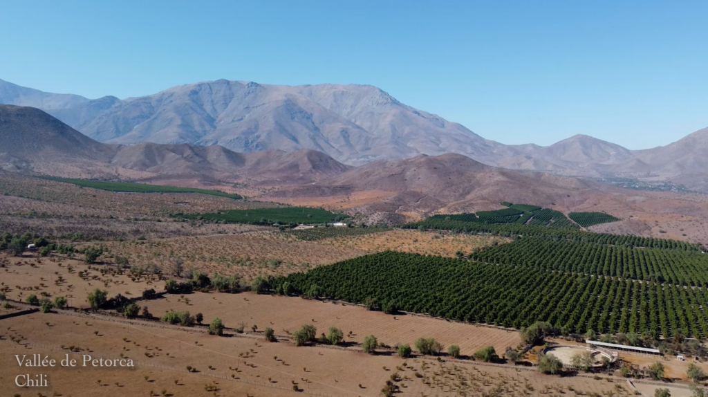 Vallée de Petorca au Chili extrait du documentaire "L'or bleu, l'or vert : les larmes d'une vallée".