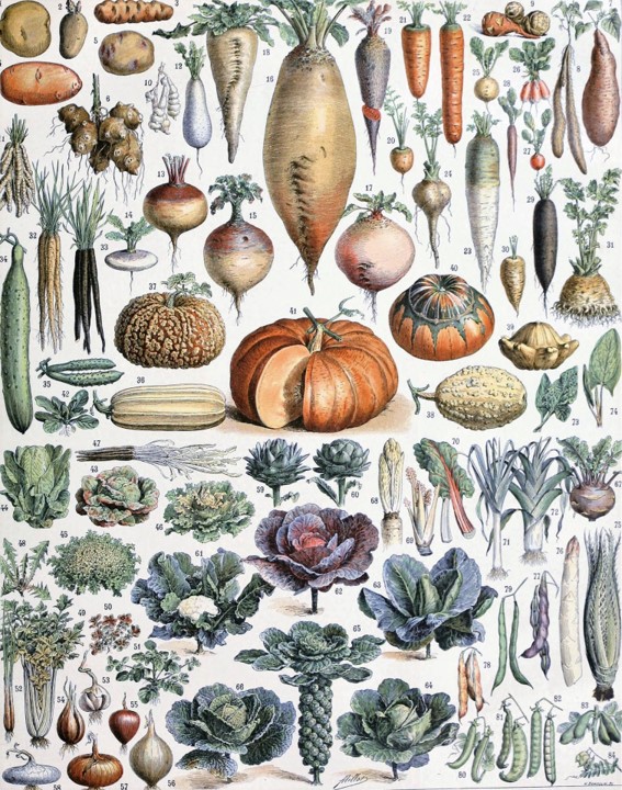 légumes d'hiver