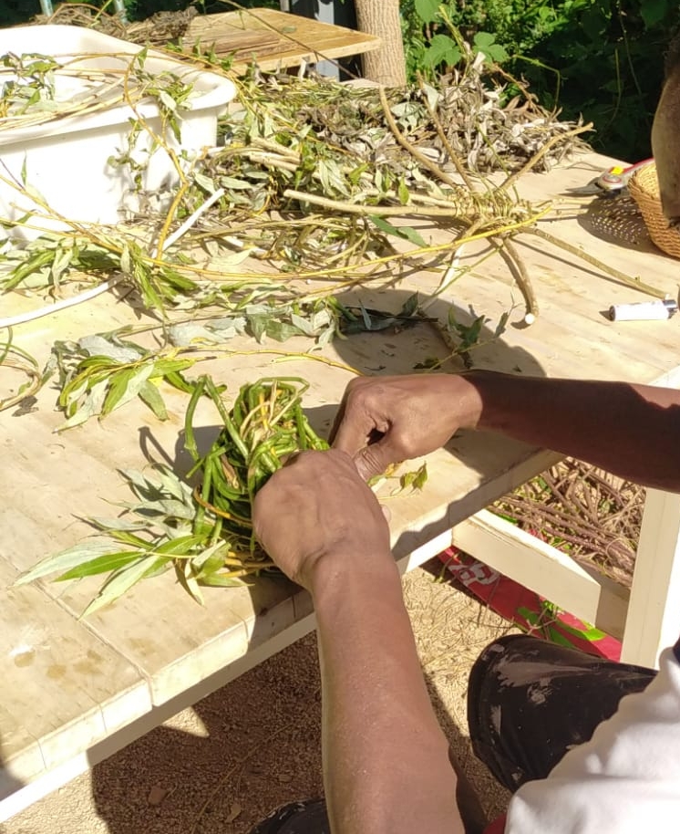 Tressage d'une mangeoire avec du saule.