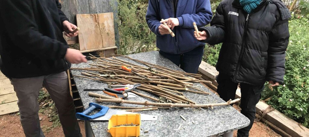 Confection de sifflets en sureau pour le corps de l'instrument et l'anche en noisetier.